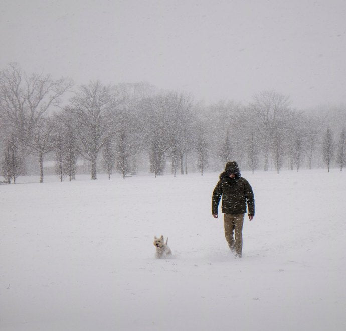 A person walking a dog through heavy snowfall